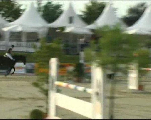 Vosswinkeler Reitertage CSN 2011