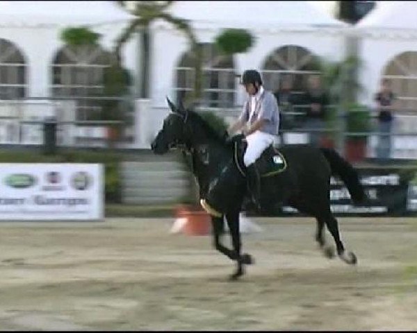 Vosswinkeler Reitertage CSN 2011