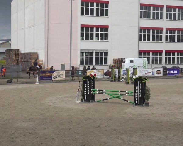 Reitturnier Sulgen 2024
