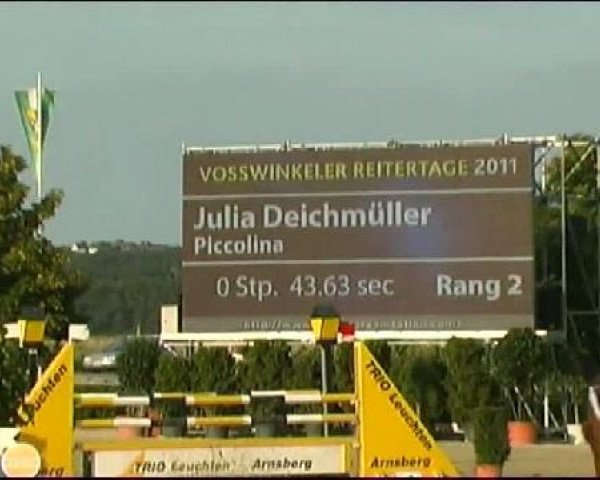 Vosswinkeler Reitertage CSN 2011