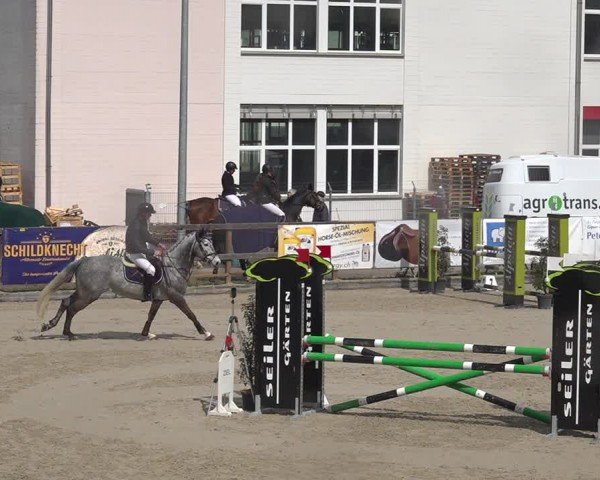 Reitturnier Sulgen 2024