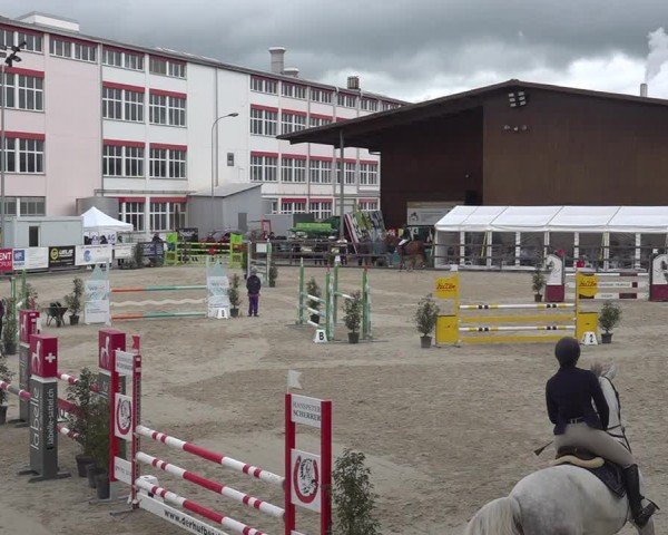 Reitturnier Sulgen 2024