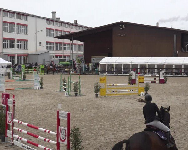 Reitturnier Sulgen 2024