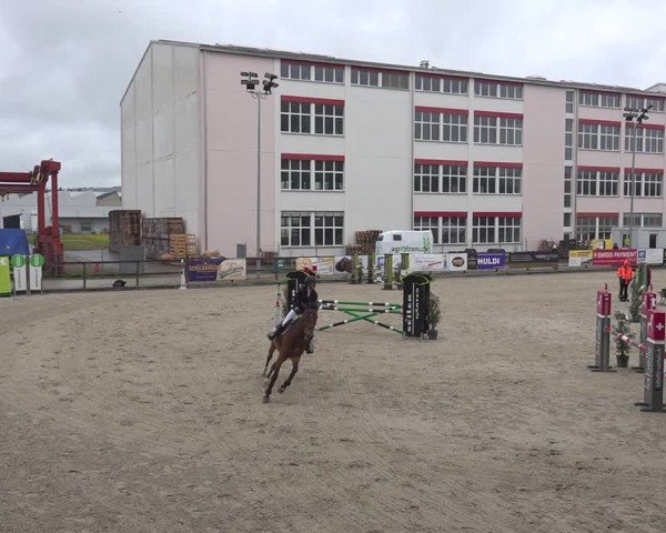 Reitturnier Sulgen 2024