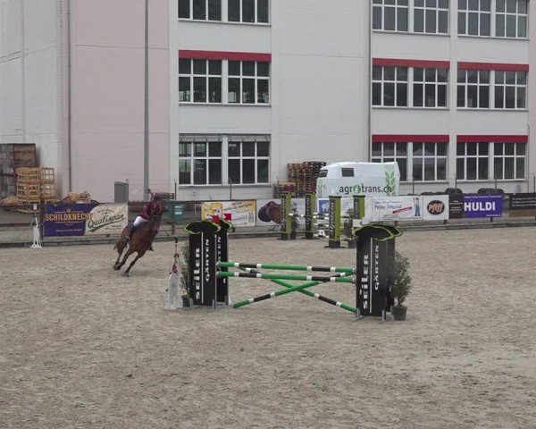 Reitturnier Sulgen 2024