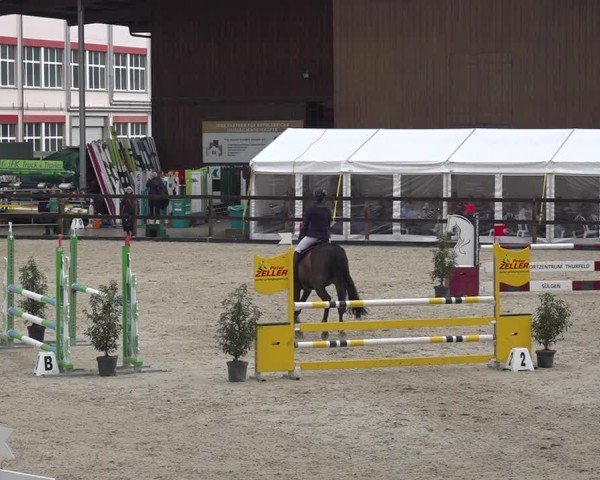 Reitturnier Sulgen 2024