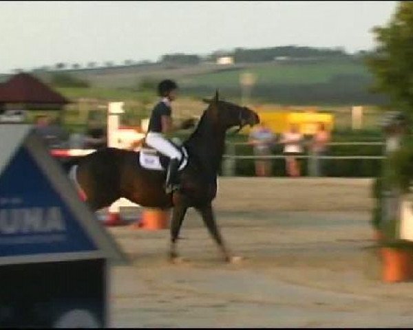 Vosswinkeler Reitertage CSN 2011