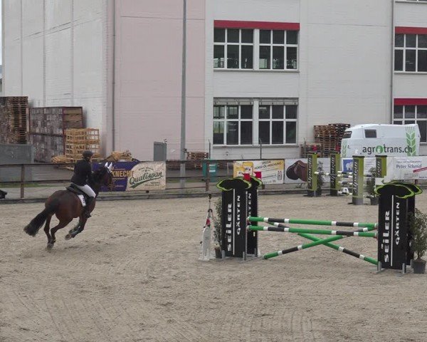 Reitturnier Sulgen 2024