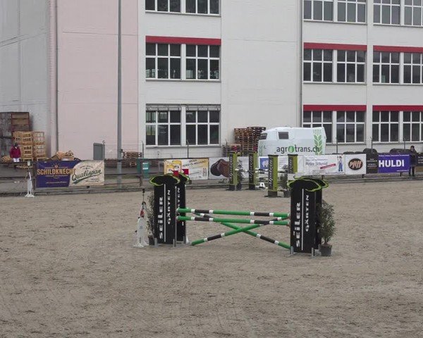 Reitturnier Sulgen 2024