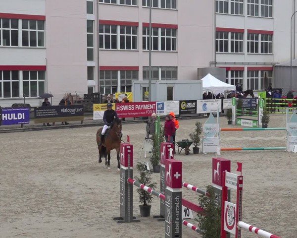 Reitturnier Sulgen 2024
