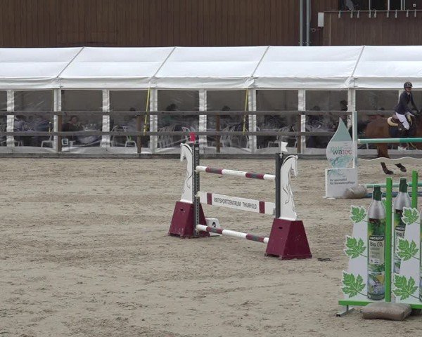 Reitturnier Sulgen 2024