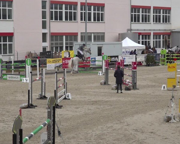 Reitturnier Sulgen 2024