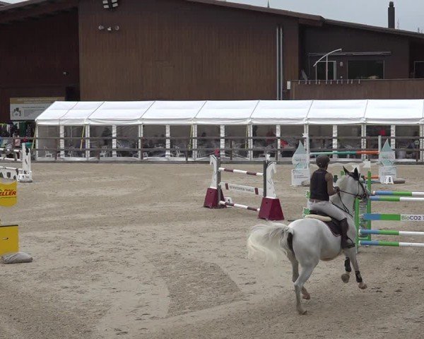 Reitturnier Sulgen 2024