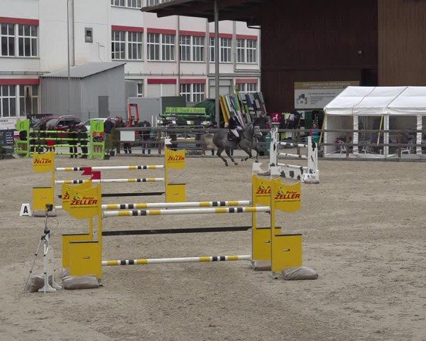 Reitturnier Sulgen 2024