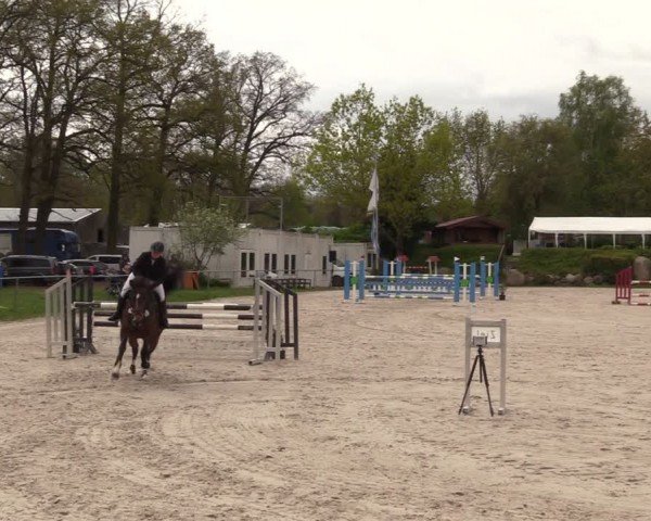 Reitturnier Pietzpuhl 2024