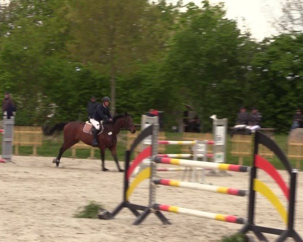 Reitturnier Pietzpuhl 2024