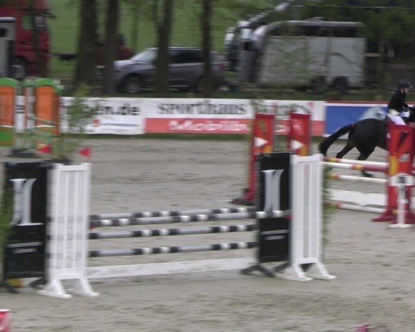 Reitturnier Westergellersen 2024