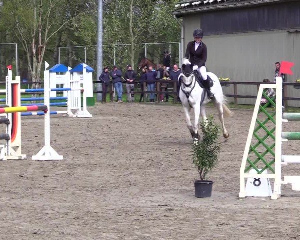 Reitturnier Leck 2024