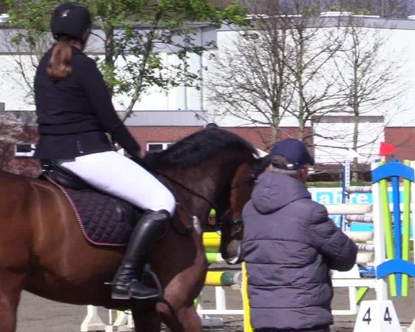 Reitturnier Leck 2024