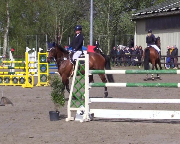 Reitturnier Leck 2024