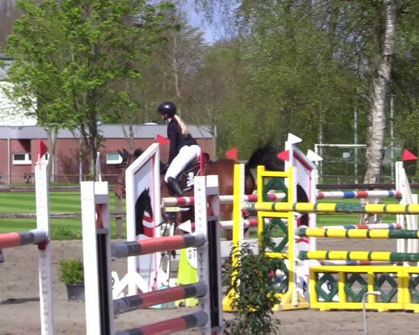 Reitturnier Leck 2024