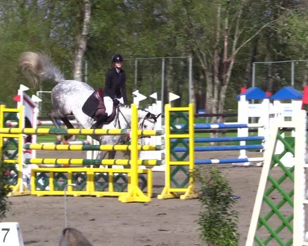 Reitturnier Leck 2024