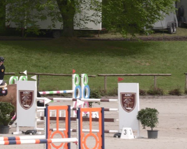 Reitturnier Tübingen 2024