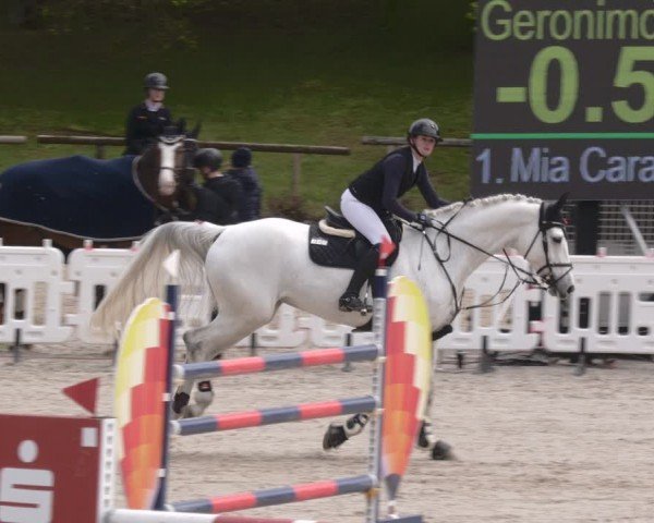 Reitturnier Tübingen 2024