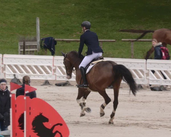 Reitturnier Tübingen 2024