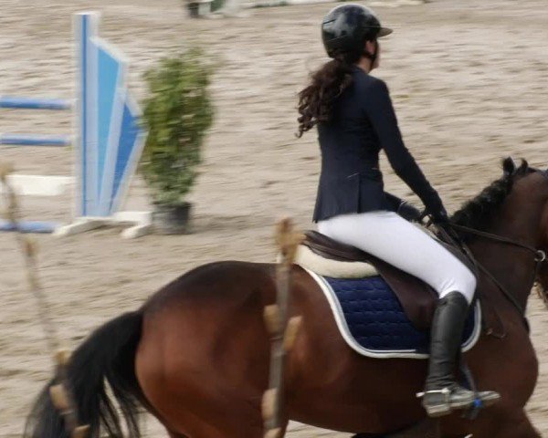 Reitturnier Neunkirchen-City 2024
