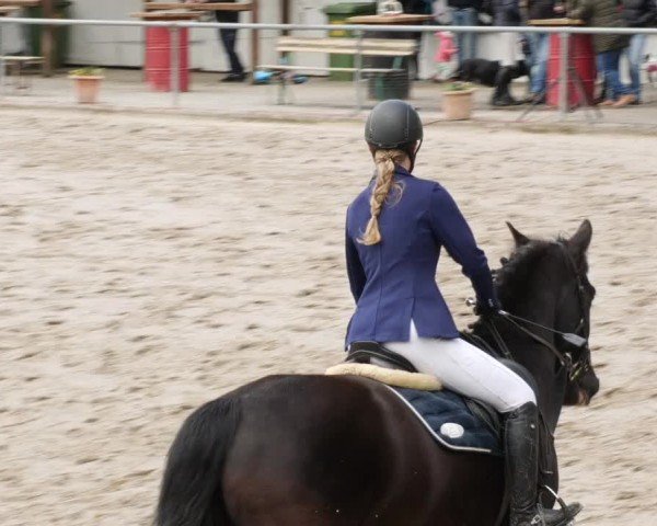Reitturnier Neunkirchen-City 2024