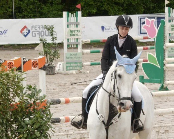 Reitturnier Neunkirchen-City 2024