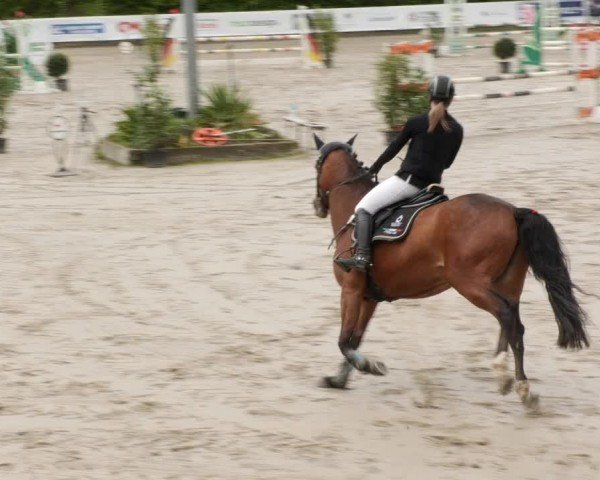Reitturnier Neunkirchen-City 2024