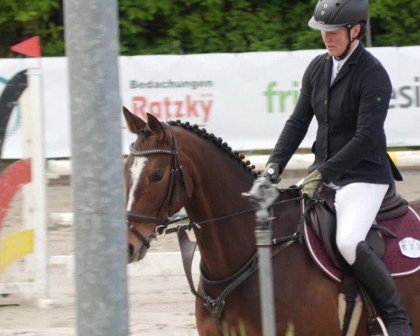 Reitturnier Neunkirchen-City 2024