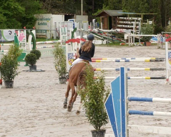 Reitturnier Neunkirchen-City 2024