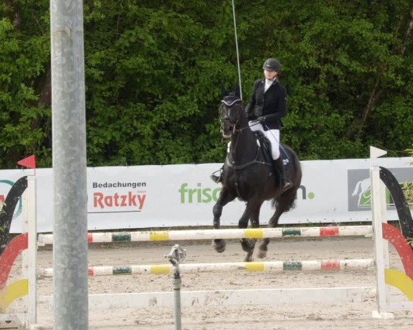 Reitturnier Neunkirchen-City 2024
