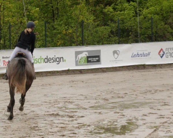 Reitturnier Neunkirchen-City 2024