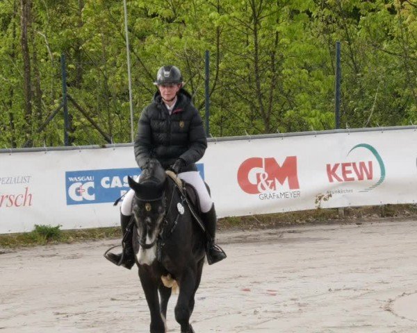 Reitturnier Neunkirchen-City 2024