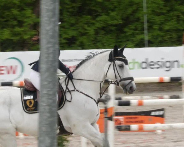 Reitturnier Neunkirchen-City 2024