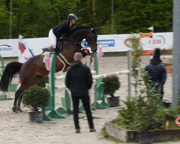 Reitturnier Neunkirchen-City 2024