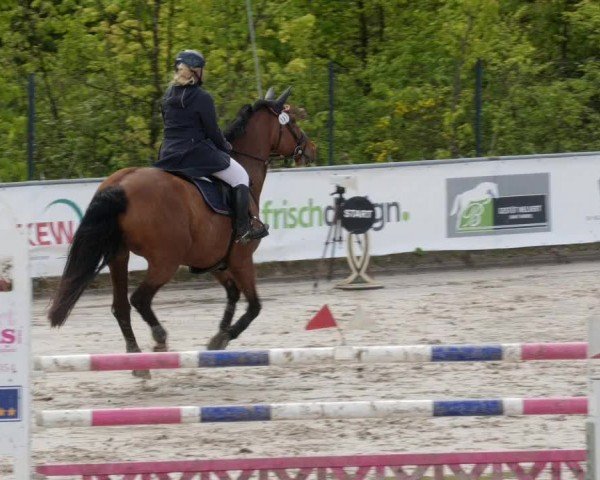 Reitturnier Neunkirchen-City 2024