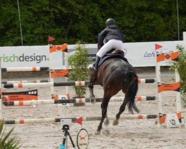 Reitturnier Neunkirchen-City 2024