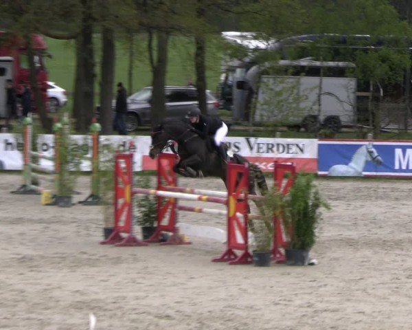 Reitturnier Westergellersen 2024