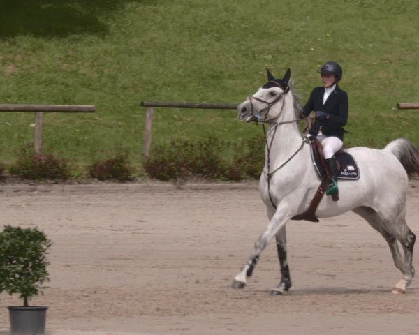 Reitturnier Tübingen 2024