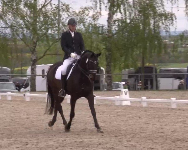 Reitturnier Landenhausen 2024