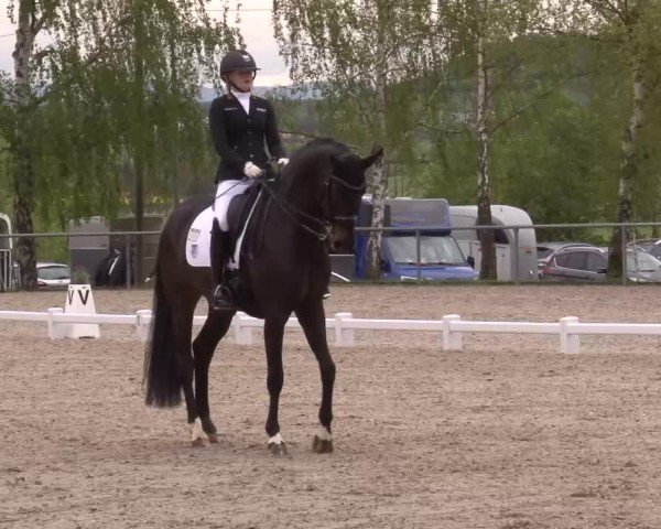 Reitturnier Landenhausen 2024