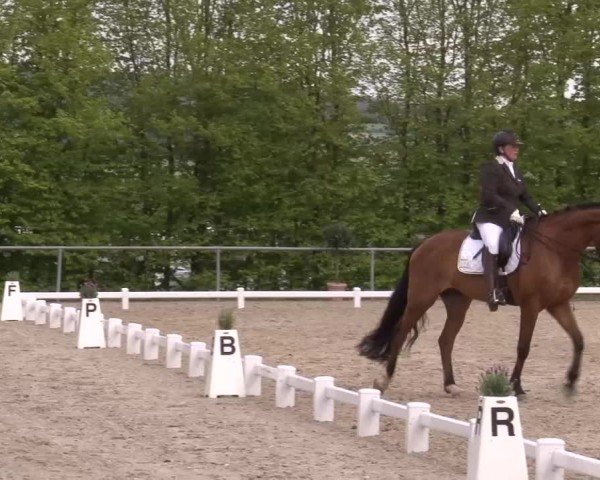 Reitturnier Landenhausen 2024