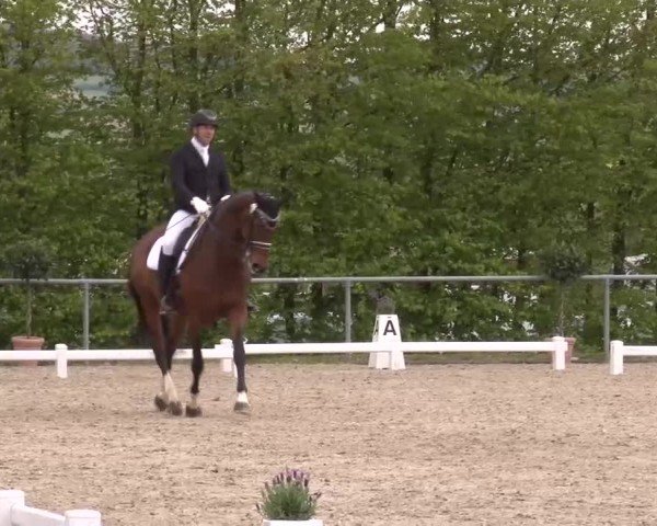 Reitturnier Landenhausen 2024
