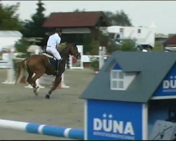 Vosswinkeler Reitertage CSN 2011