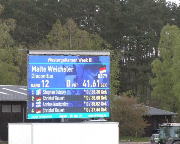 Reitturnier Westergellersen 2024